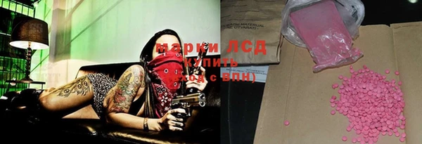 хмурый Арсеньев