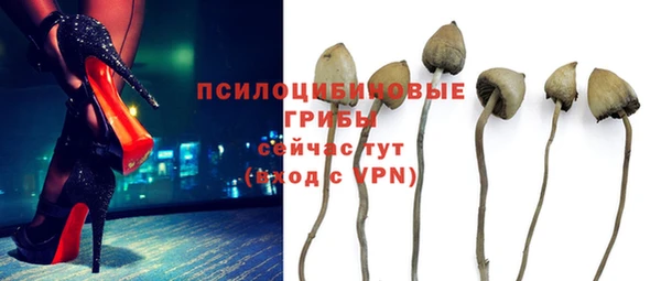 каннабис Баксан