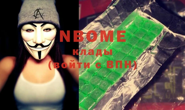 хмурый Арсеньев