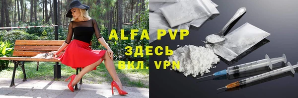 хмурый Арсеньев