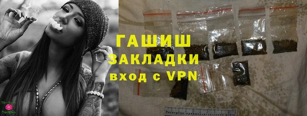 хмурый Арсеньев