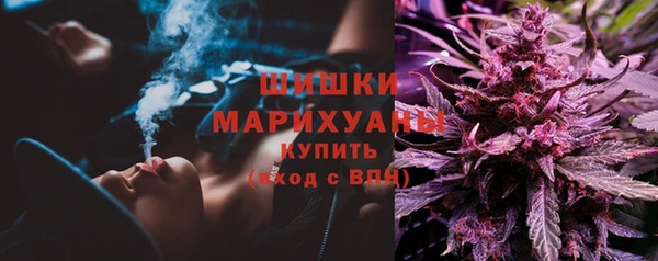 дживик Железногорск-Илимский