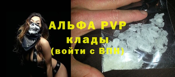 хмурый Арсеньев