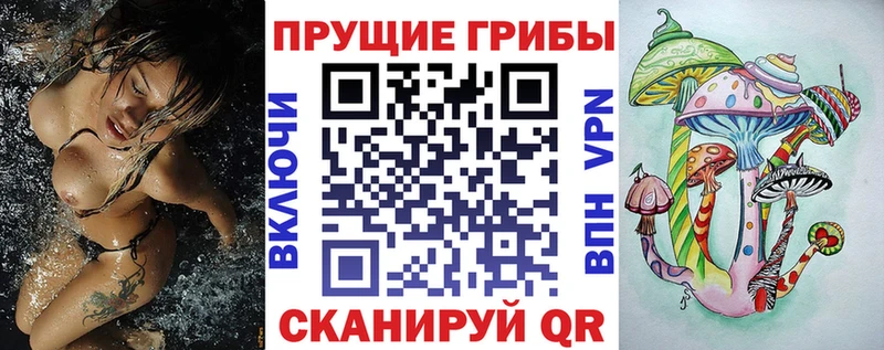 Галлюциногенные грибы MAGIC MUSHROOMS blacksprut как войти Красный Кут
