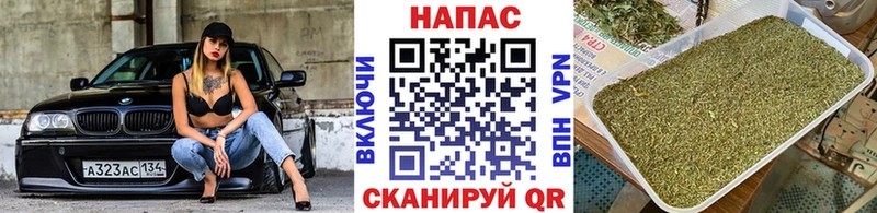 Бошки Шишки ГИДРОПОН  магазин  наркотиков  Красный Кут 
